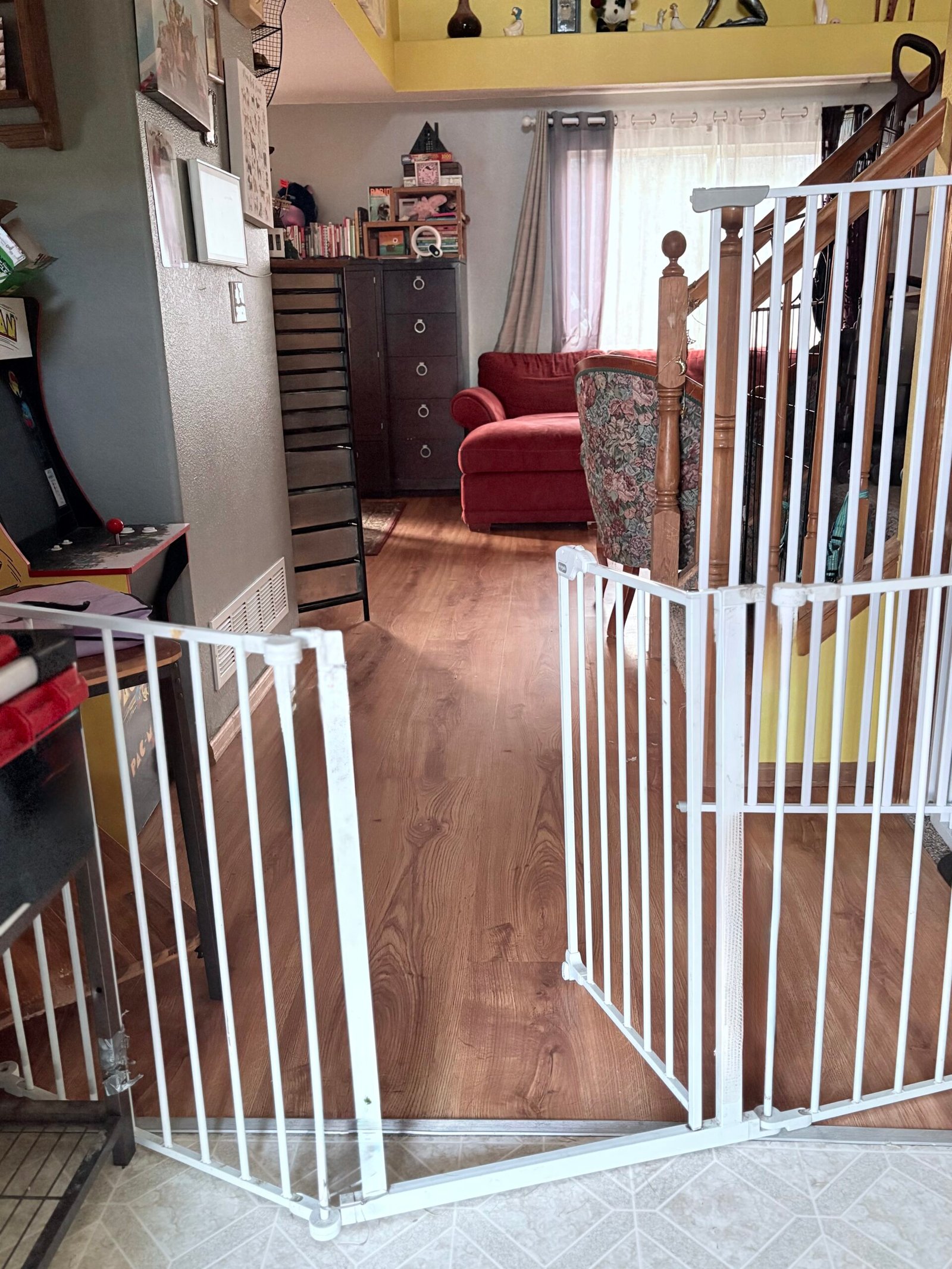 Furbaby Haven living room view 5