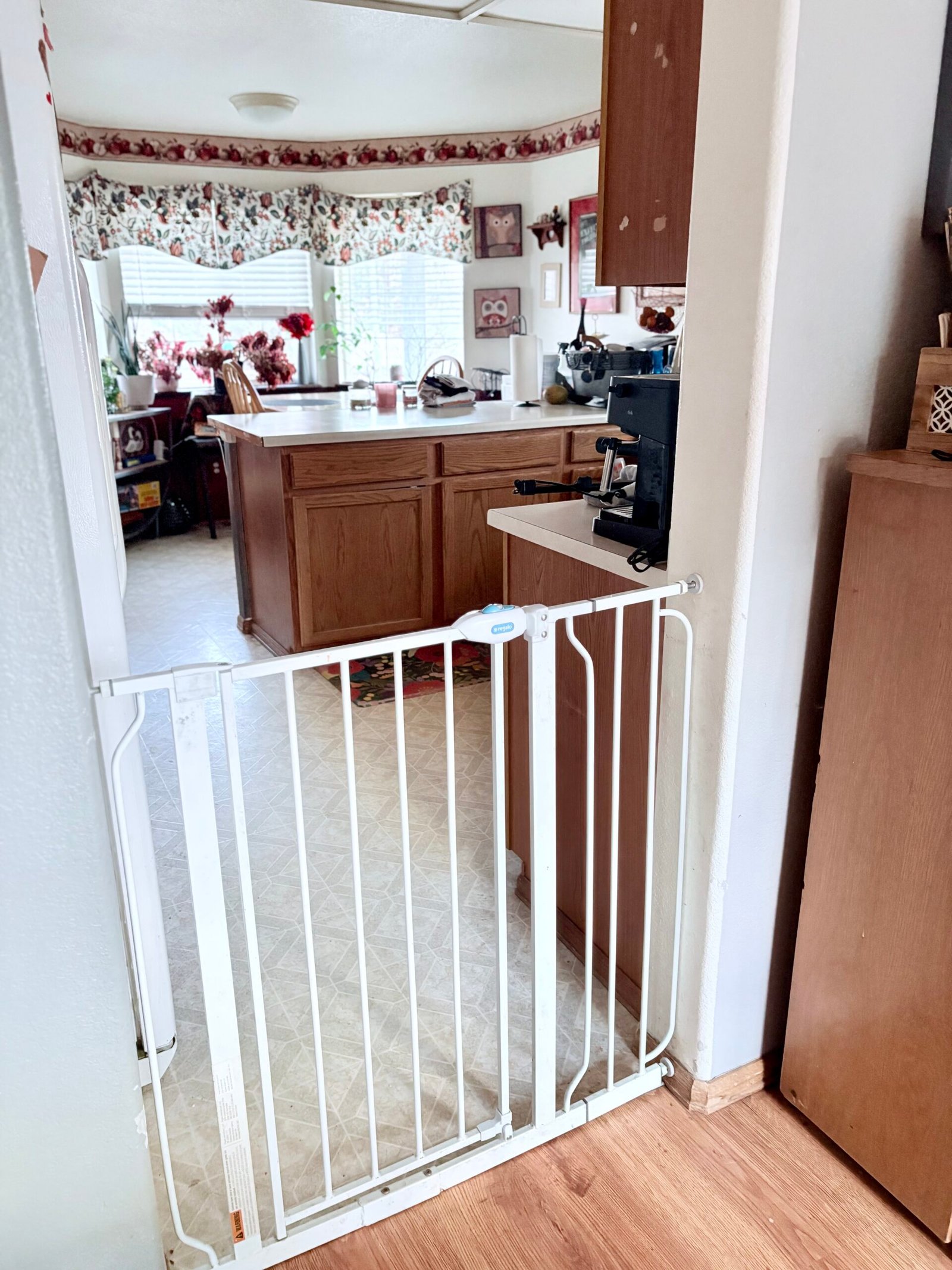 Furbaby Haven living room view 1