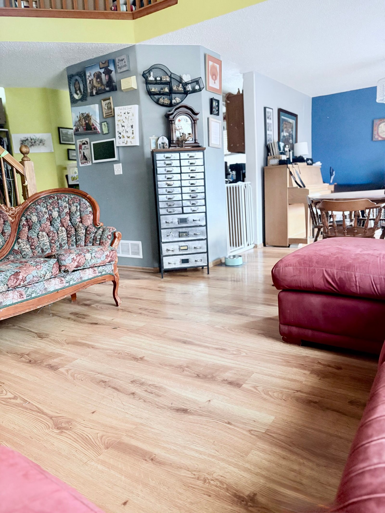 Furbaby Haven living room view 6